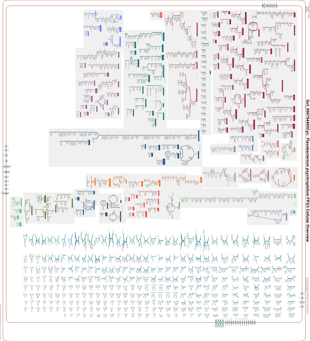 Generated by SRI International Pathway Tools Version 25.0 on Sat