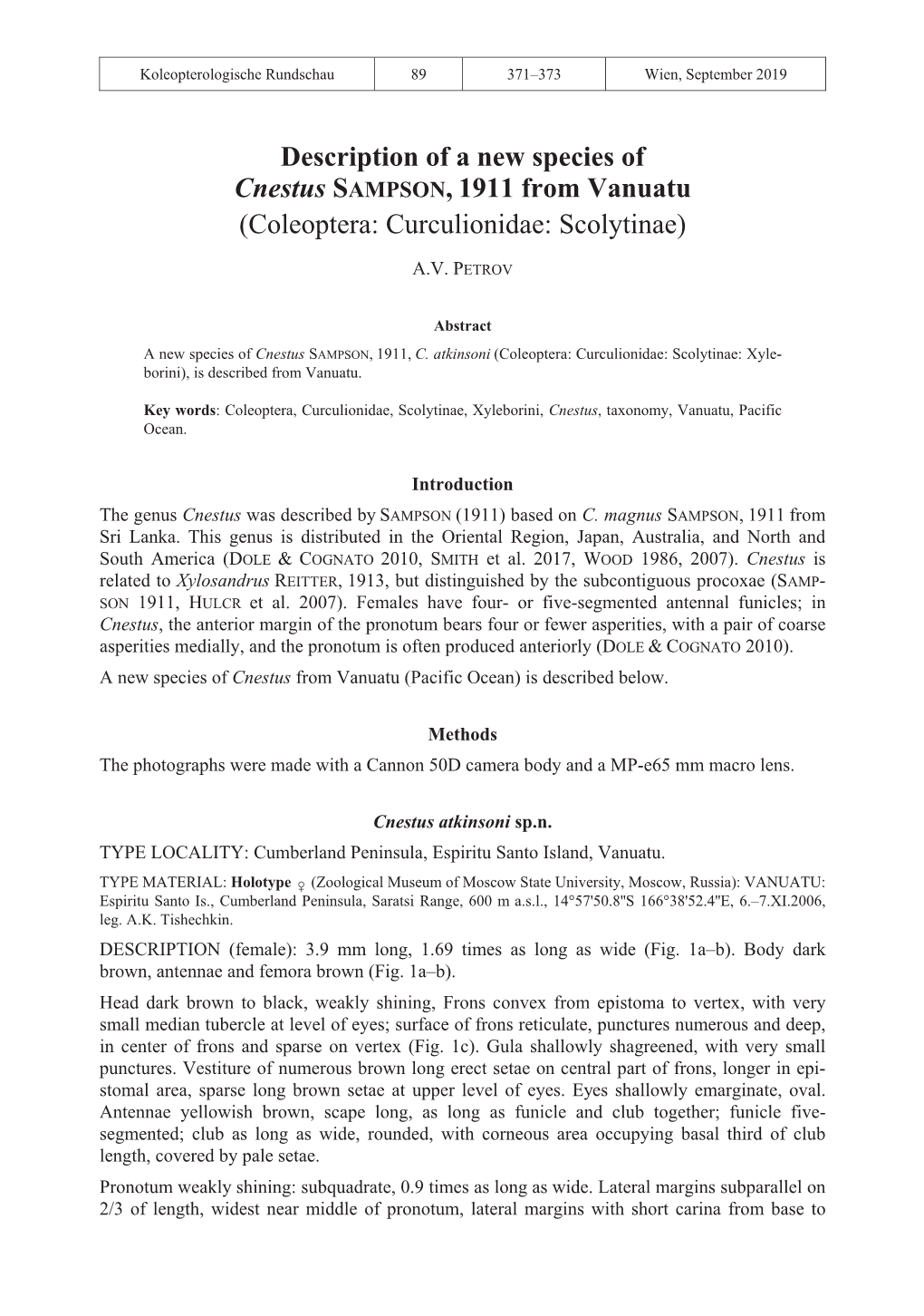 Description of a New Species of Cnestus SAMPSON, 1911 from Vanuatu Dr