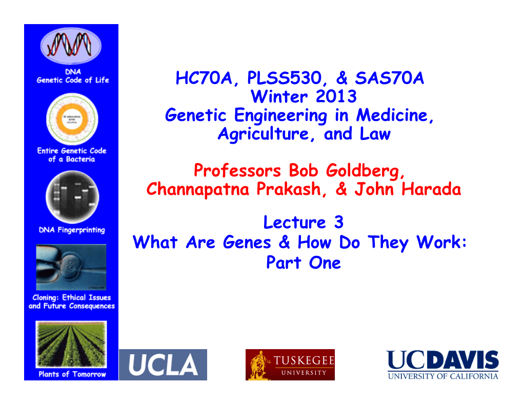 HC70A-W13-Lecture3 .Pptx