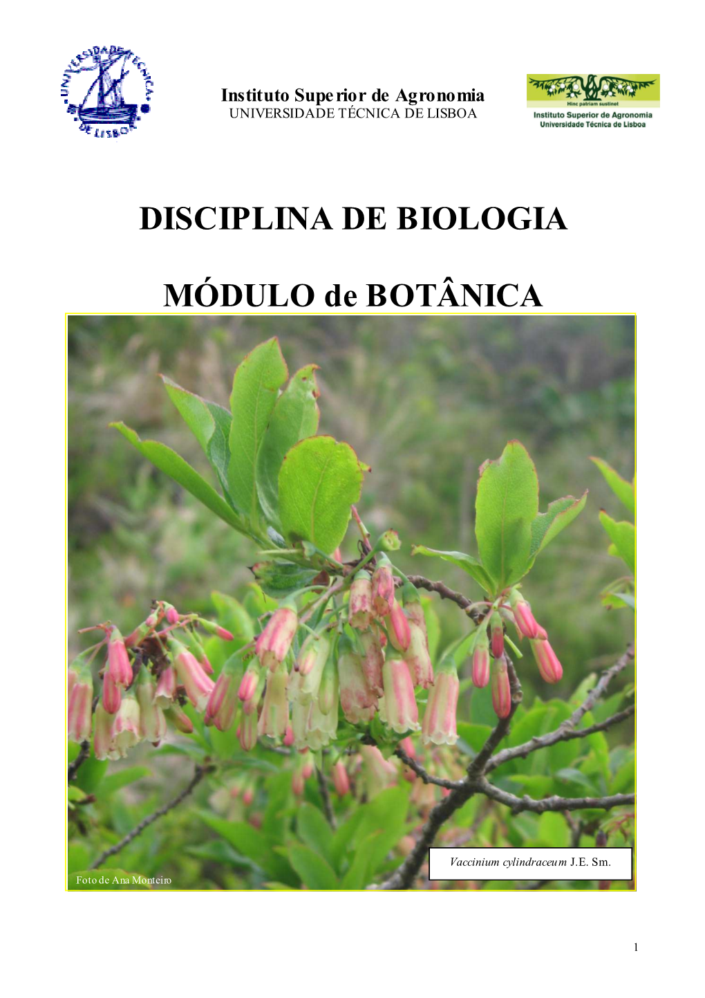 Disciplina De Biologia: Módulo De Botânica
