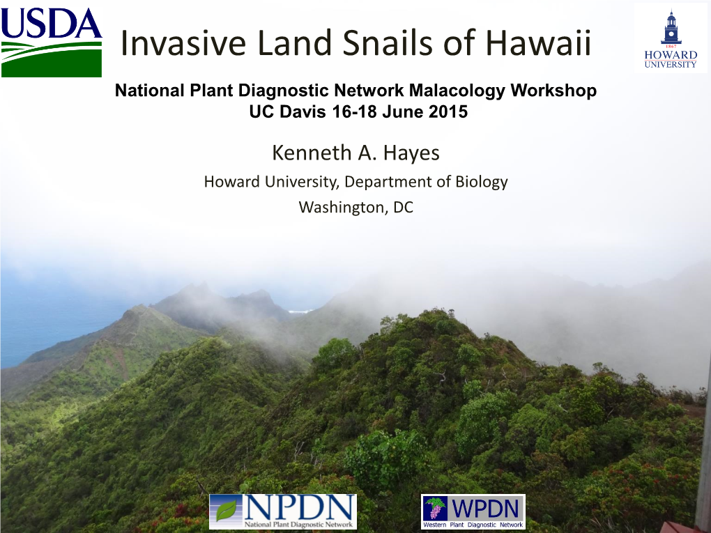 Kenneth Hayes: Invasive Land Snails of Hawaii