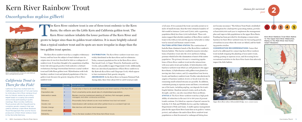 Kern River Rainbow Trout Chances for Survival: Poor 2 Oncorhynchus Mykiss Gilberti