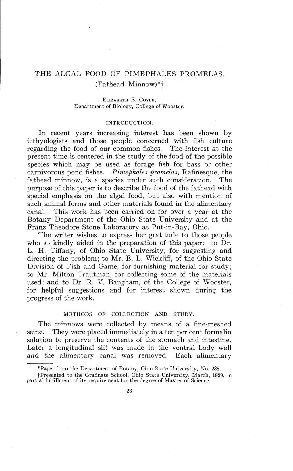 The Algal Food of Pimephales Promelas (Fathead Minnow)