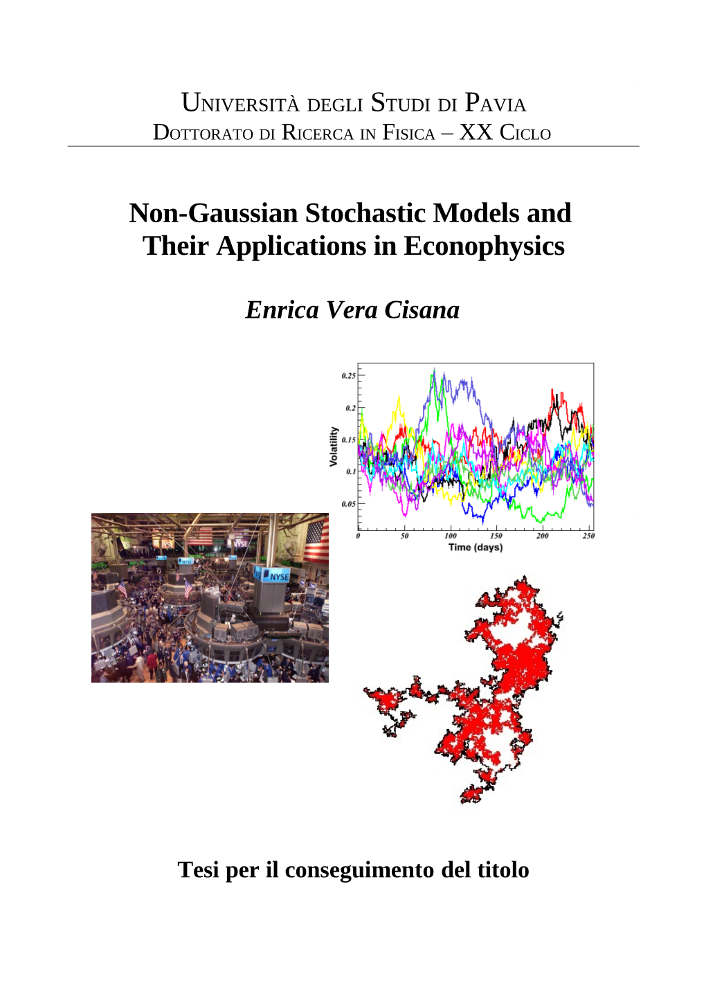Non-Gaussian Stochastic Models and Their Applications in Econophysics