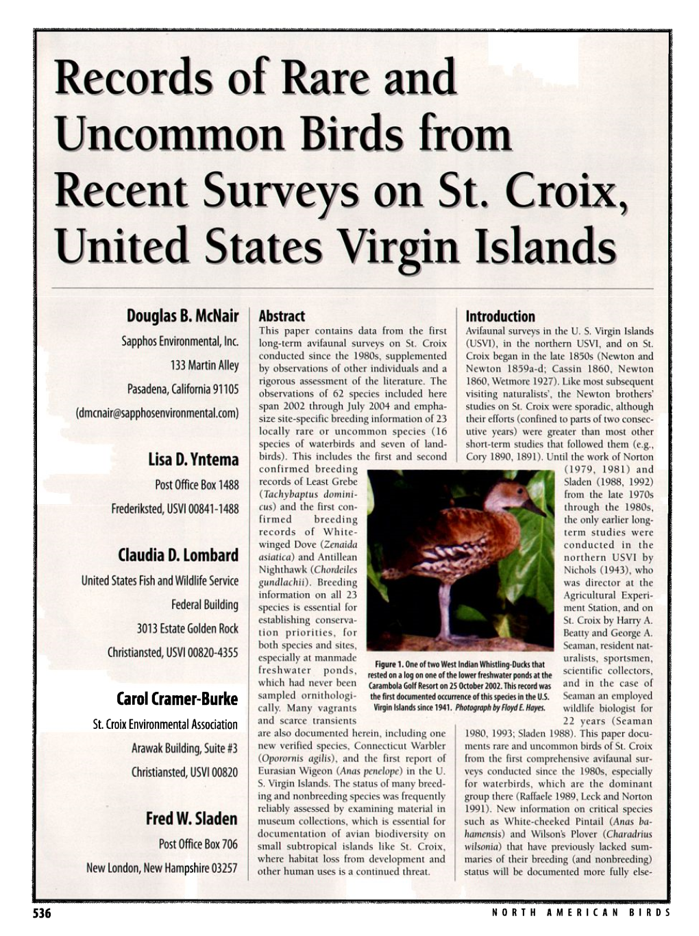 Records of Rare and Uncommon Birds from Recent Surveys on St. Croix