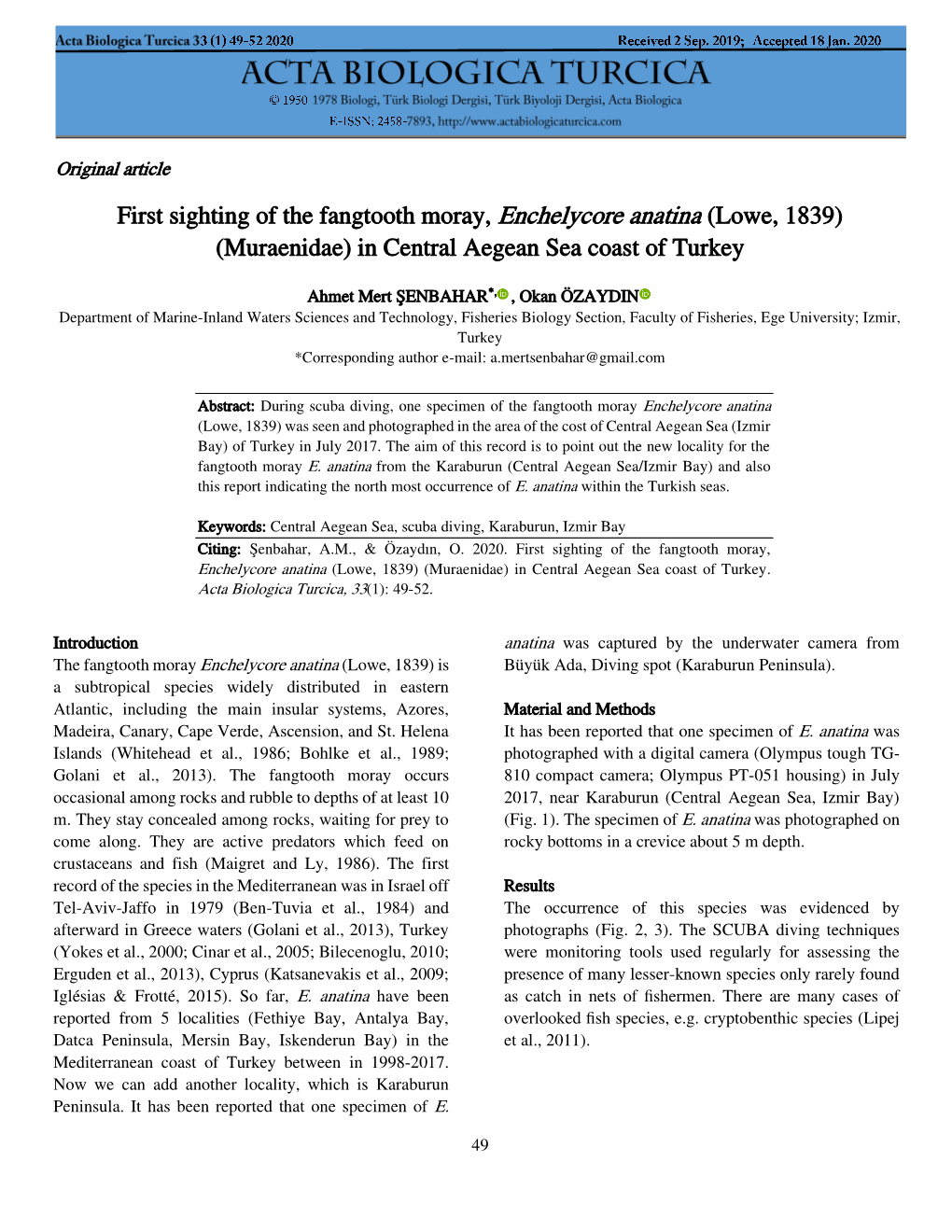 First Sighting of the Fangtooth Moray, Enchelycore Anatina (Lowe, 1839) (Muraenidae) in Central Aegean Sea Coast of Turkey