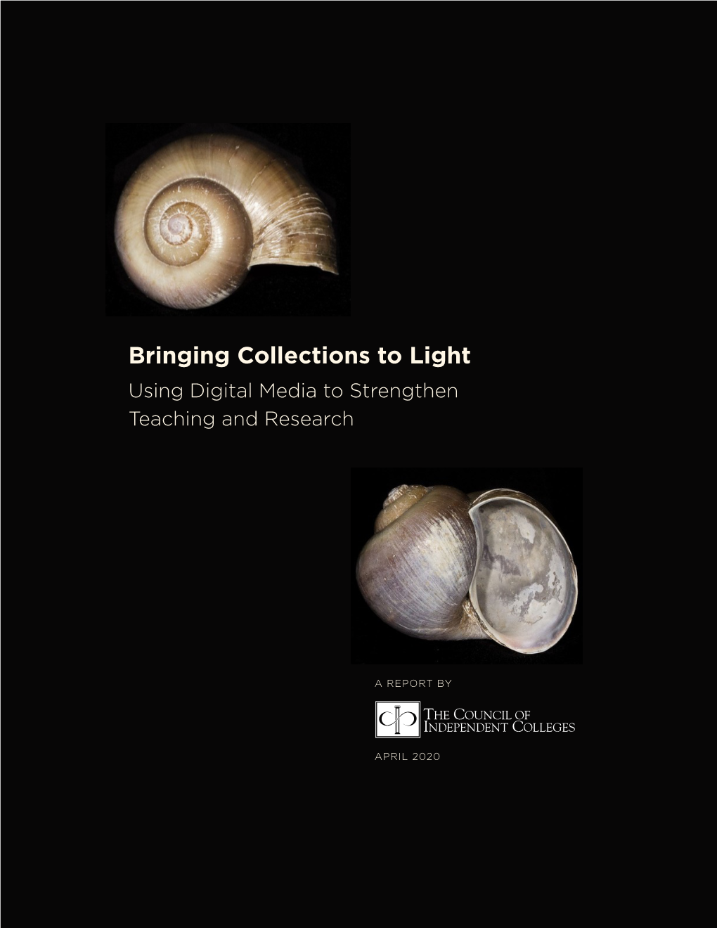 Bringing Collections to Light Using Digital Media to Strengthen Teaching and Research