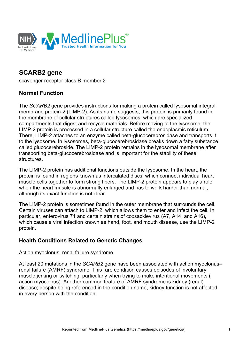 SCARB2 Gene Scavenger Receptor Class B Member 2