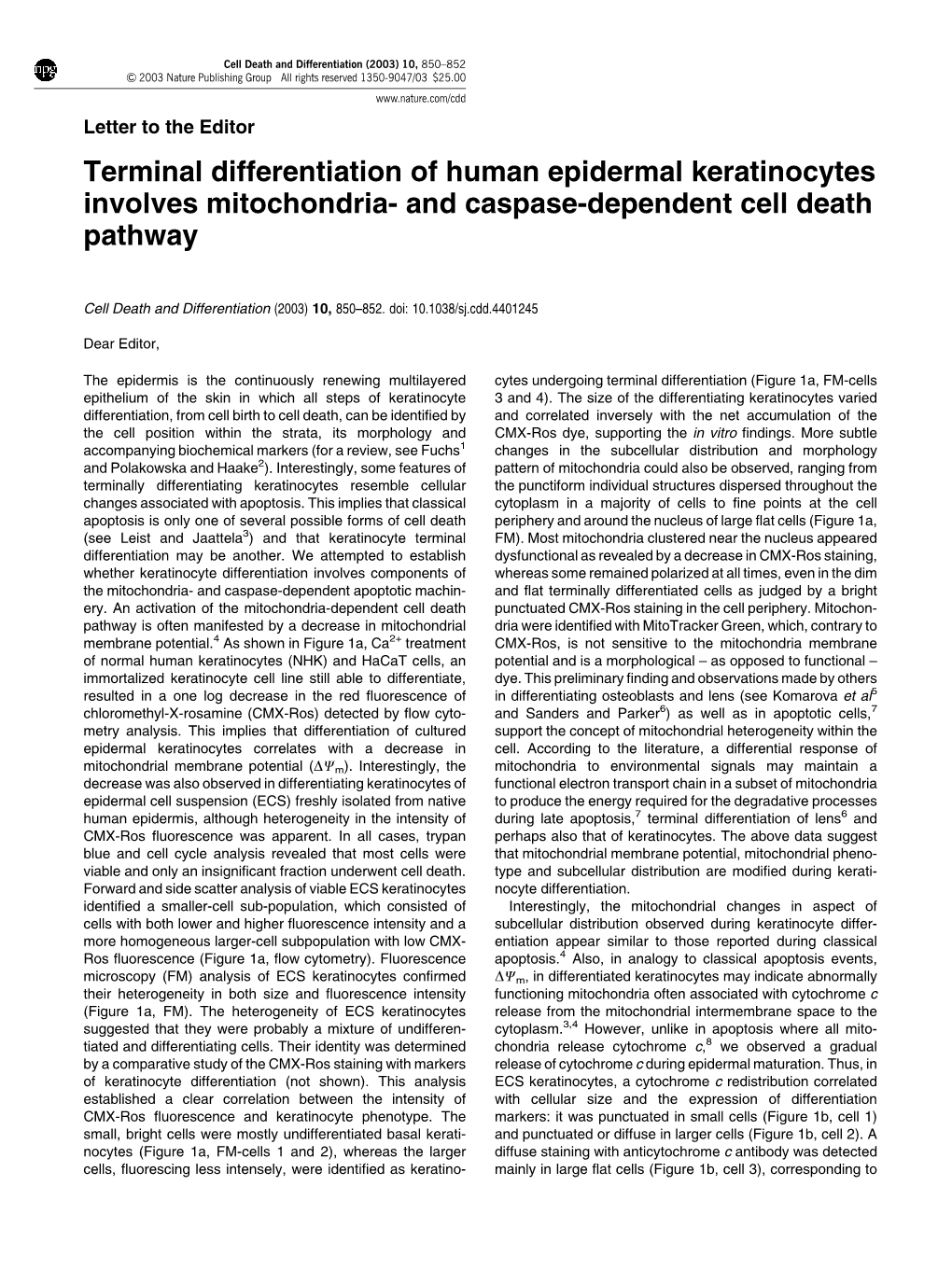 Terminal Differentiation of Human Epidermal Keratinocytes Involves Mitochondria- and Caspase-Dependent Cell Death Pathway