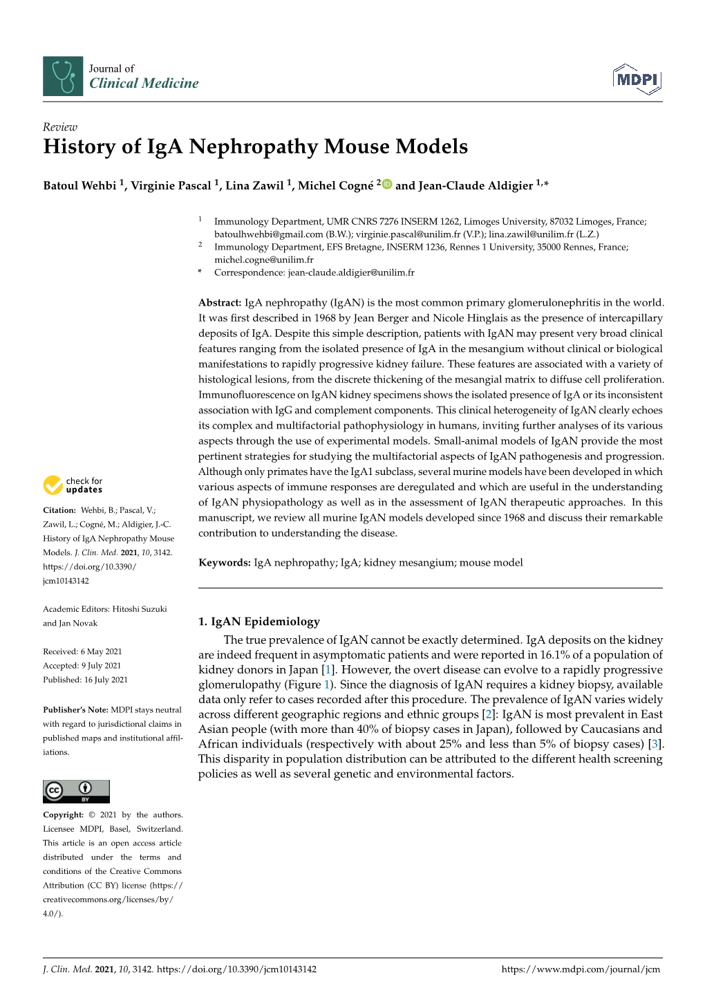 History of Iga Nephropathy Mouse Models