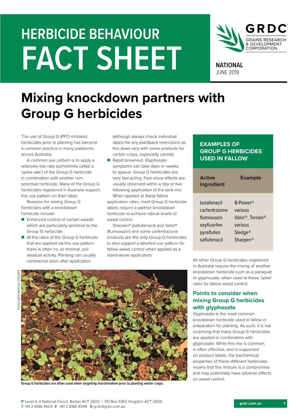 Mixing Knockdown Partners with Group G Herbicides