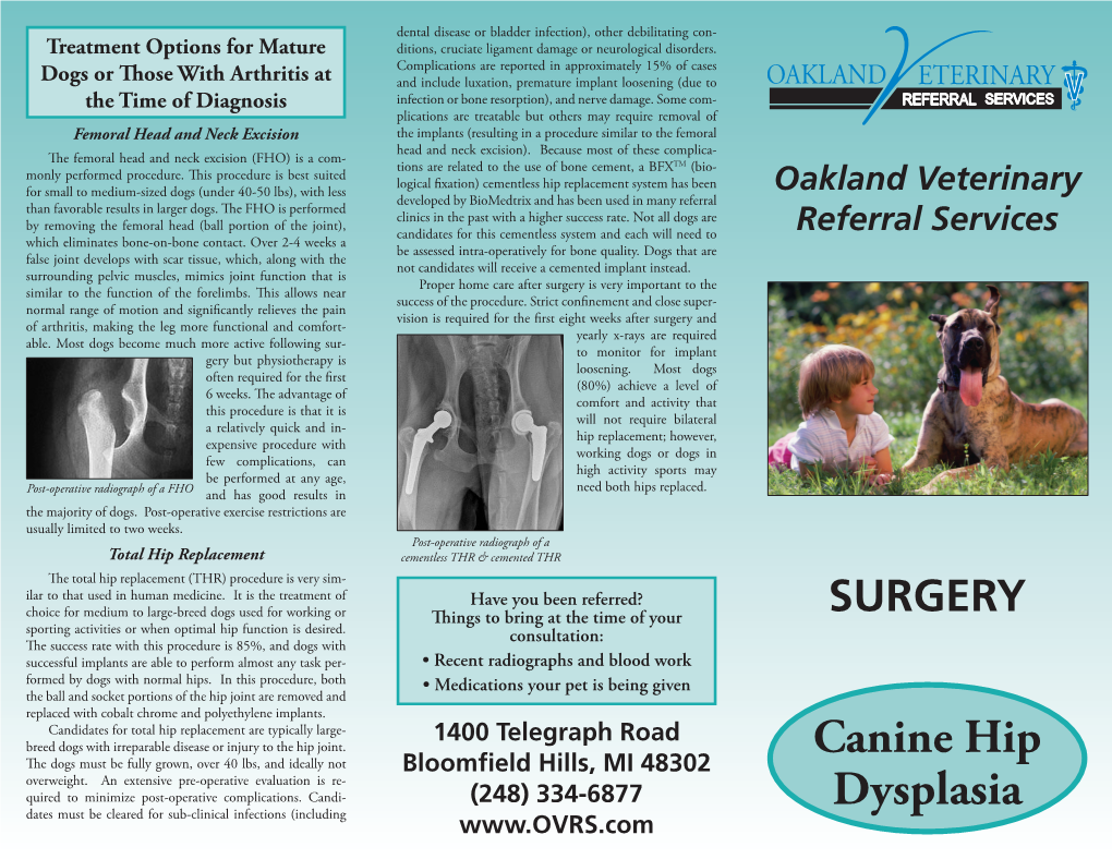 Hip Dysplasia Pamphlet