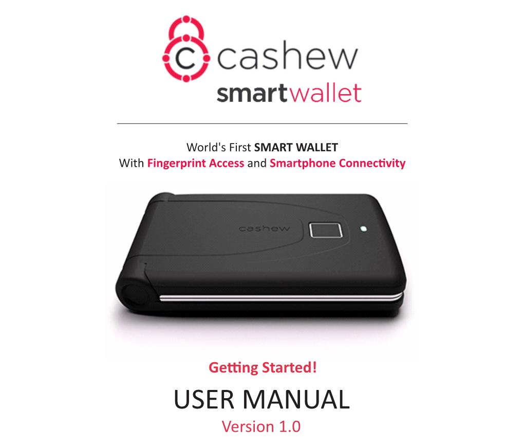 USER MANUAL Version 1.0 1 Initial Setup How Does Cashew Work?