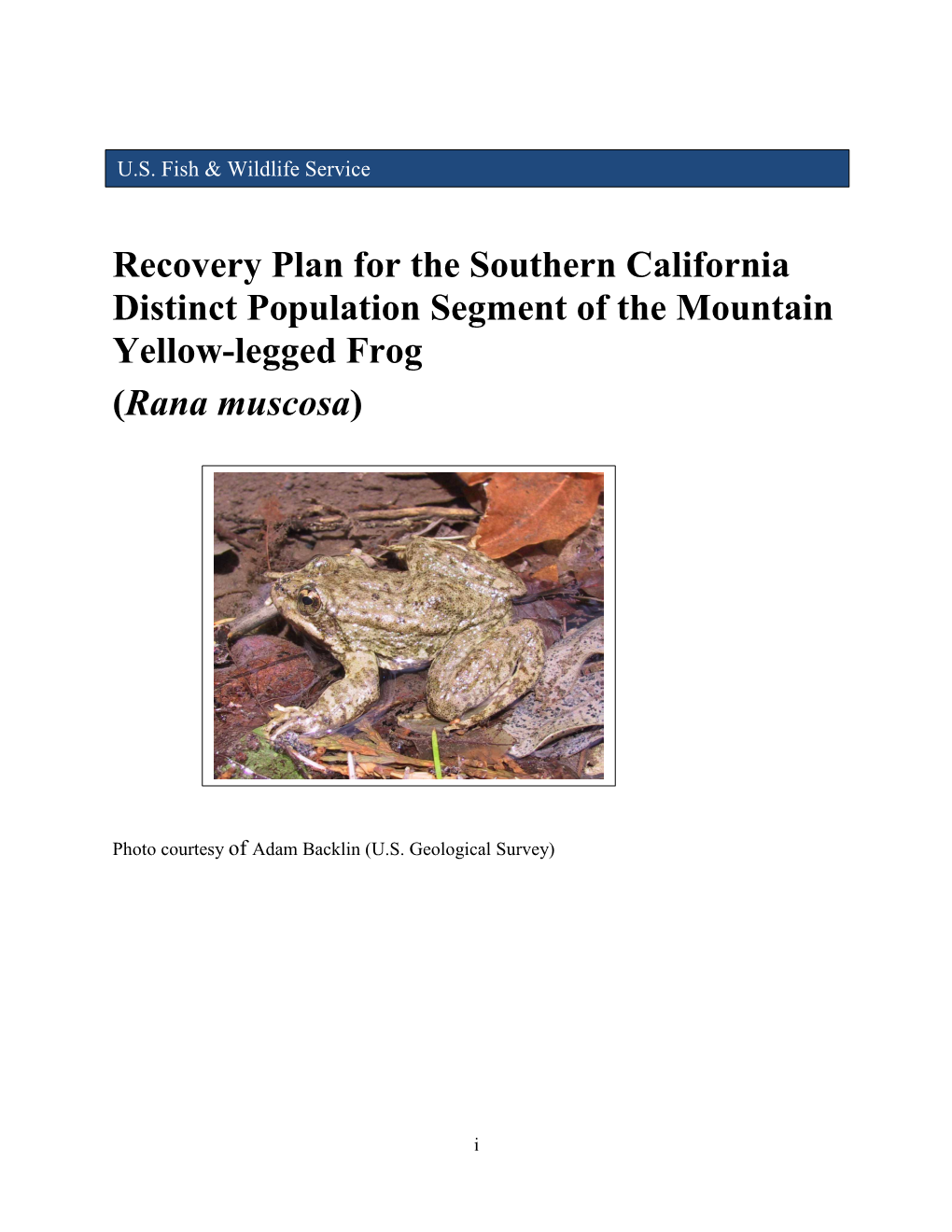 Recovery Plan for the Southern California Distinct Population Segment of the Mountain Yellow-Legged Frog (Rana Muscosa)