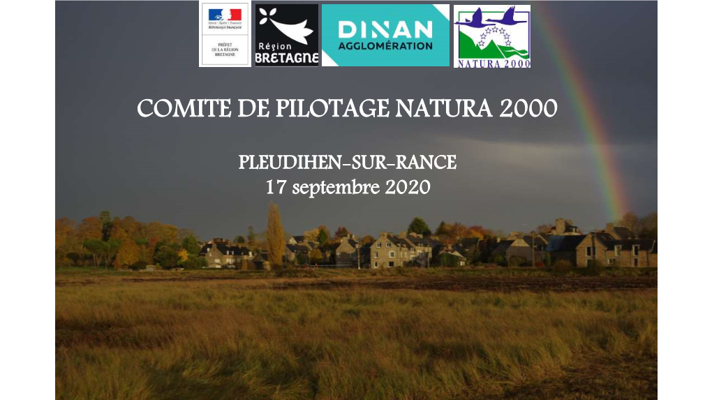 Présentation Comité De Pilotage 2020 PDF 1.08 Mo