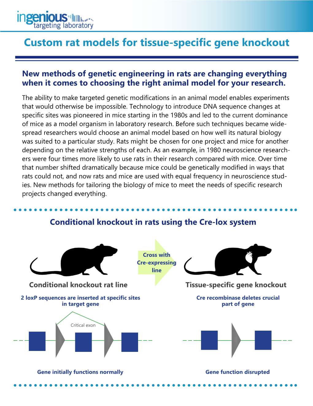 Custom Rat Models for Tissue-Specific Gene Knockout