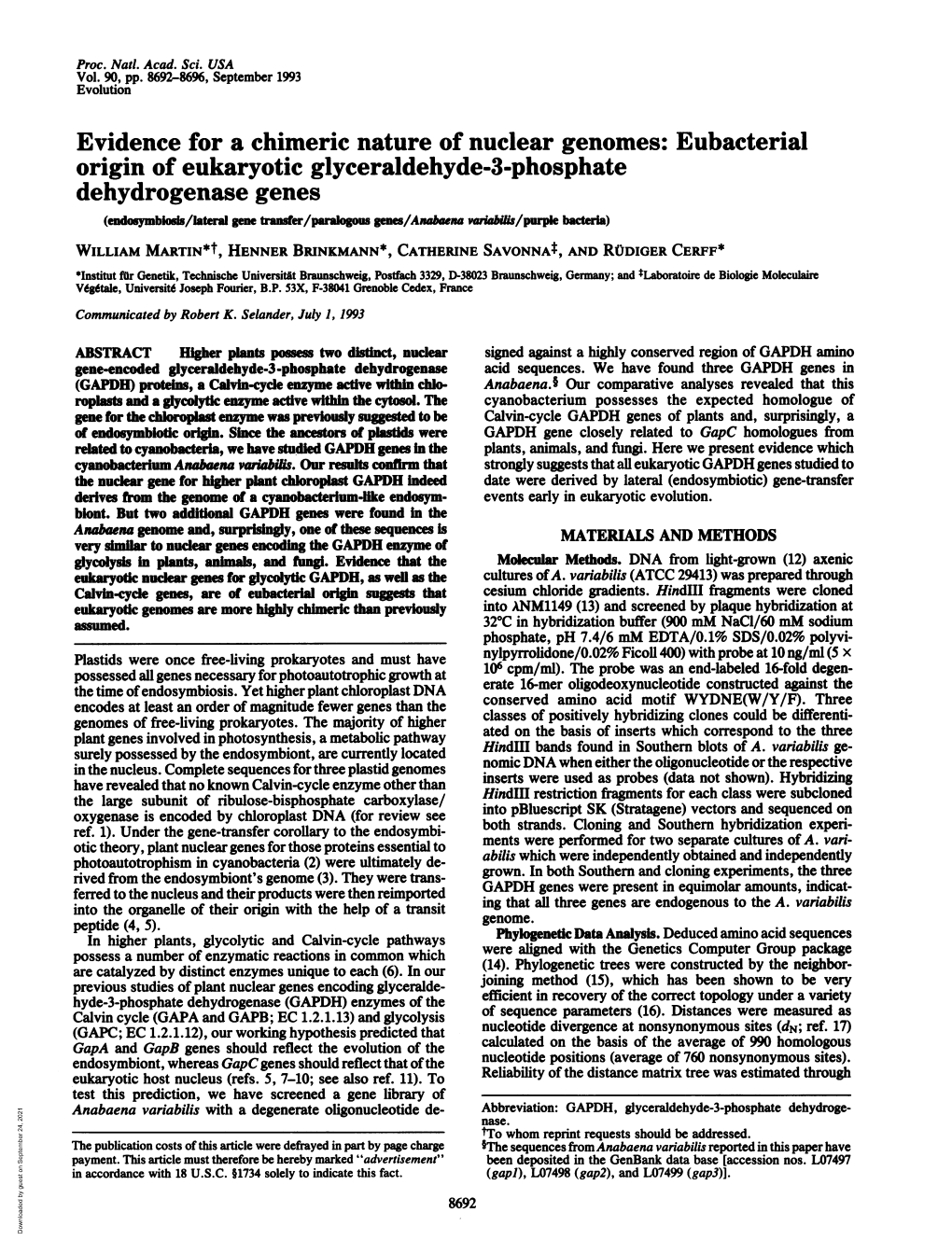 Eubacterial Origin of Eukaryotic Glyceraldehyde-3-Phosphate