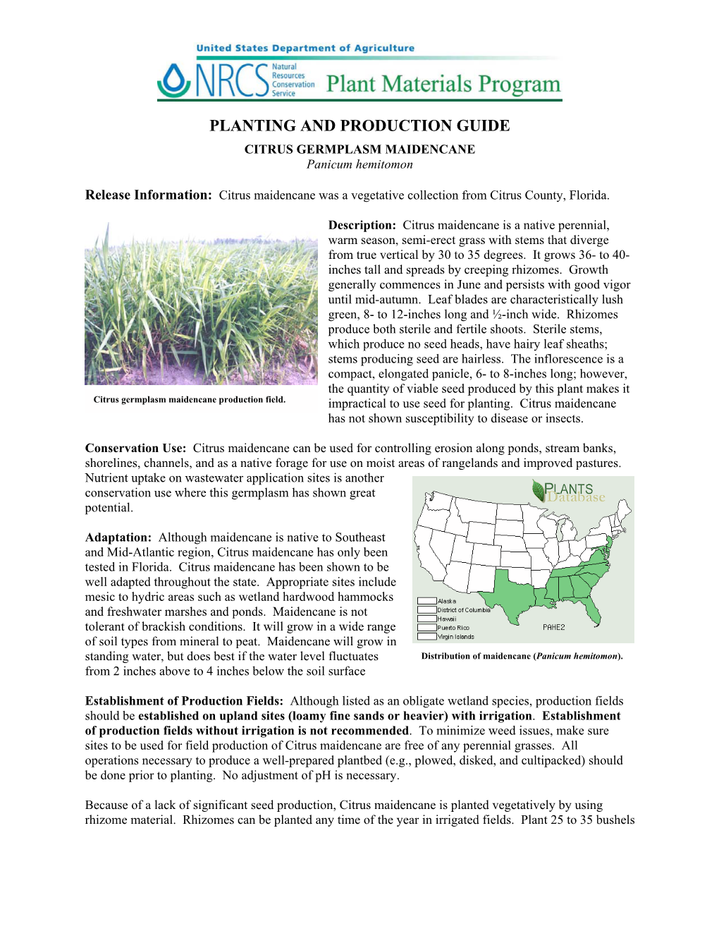 Planting and Production Guide, Citrus Germplasm Maidencane