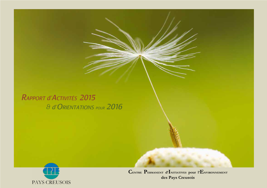 Rapport D'activité 2015