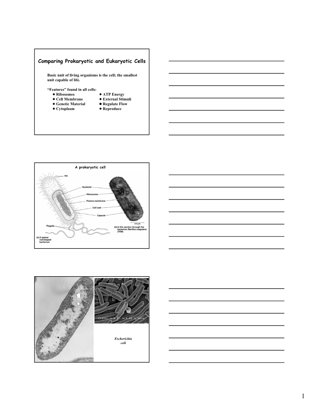 Comparing Prokaryotic and Eukaryotic Cells