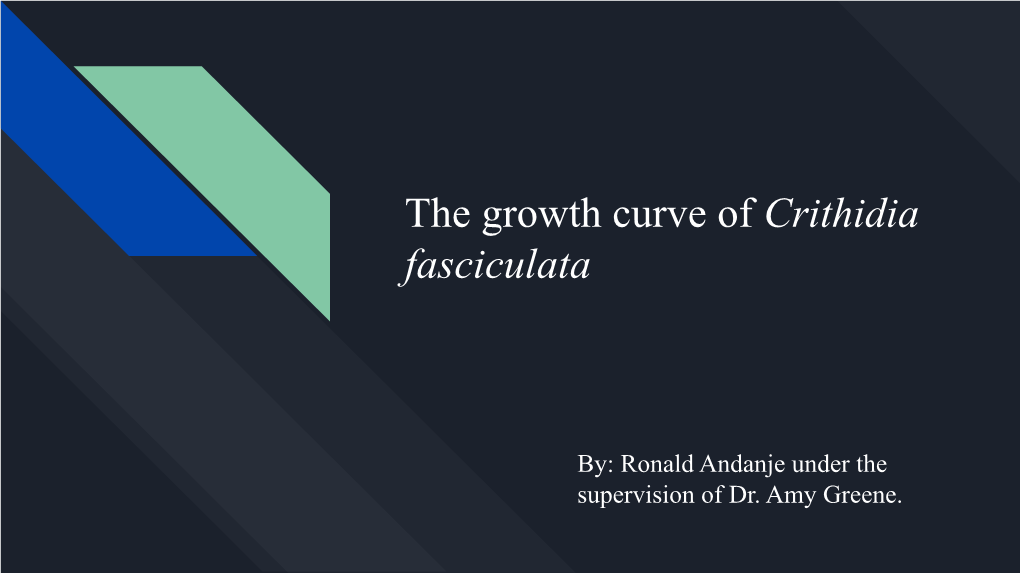 The Growth Curve of Crithidia Fasciculata