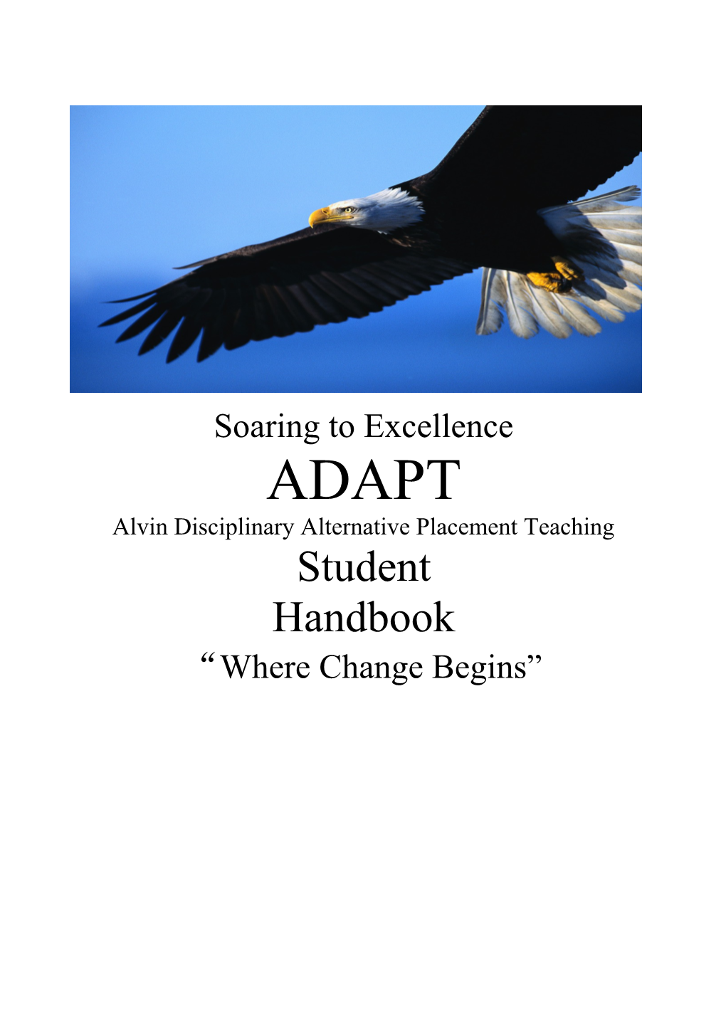 Alvin Disciplinary Alternative Placement Teaching