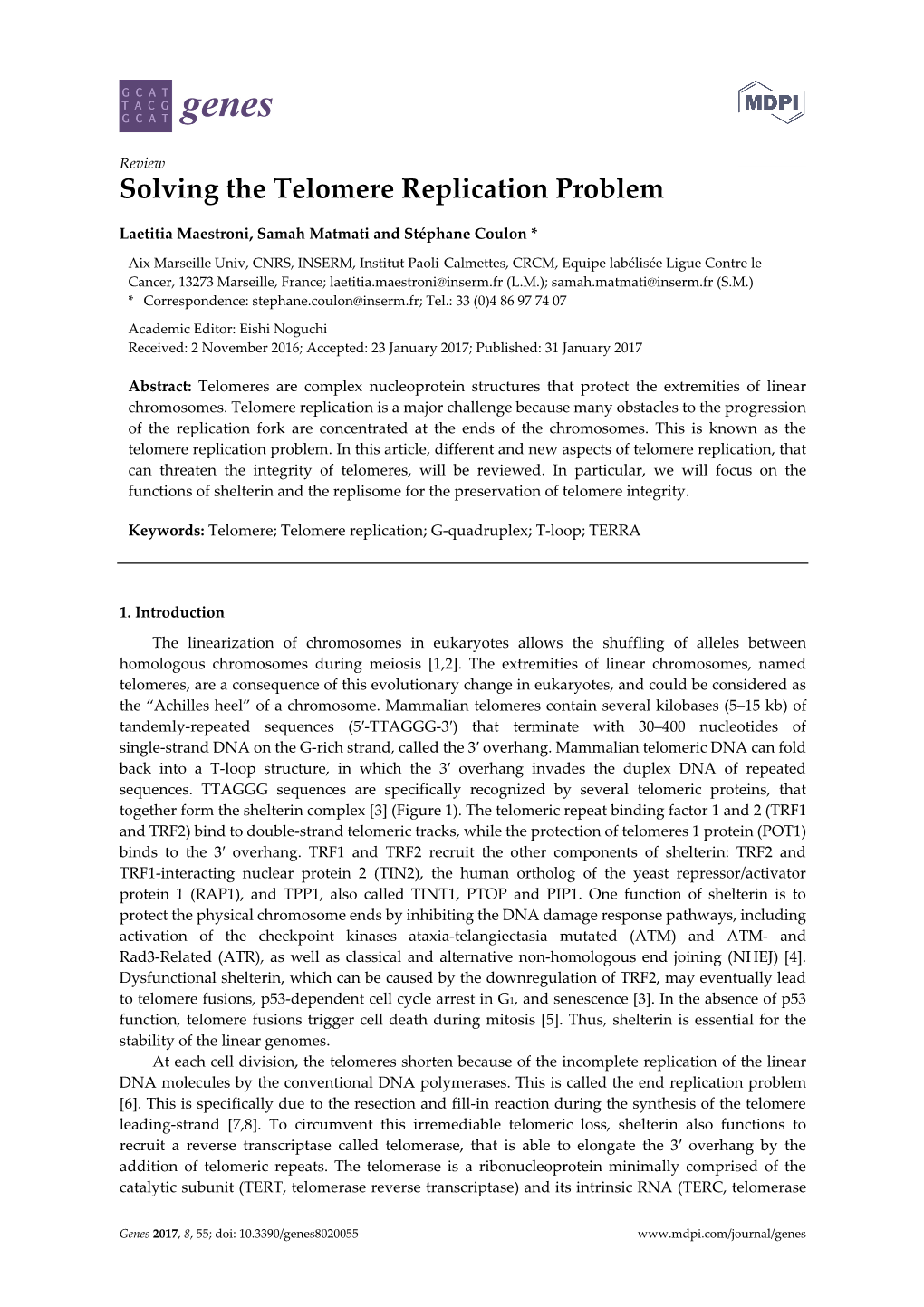 Solving the Telomere Replication Problem