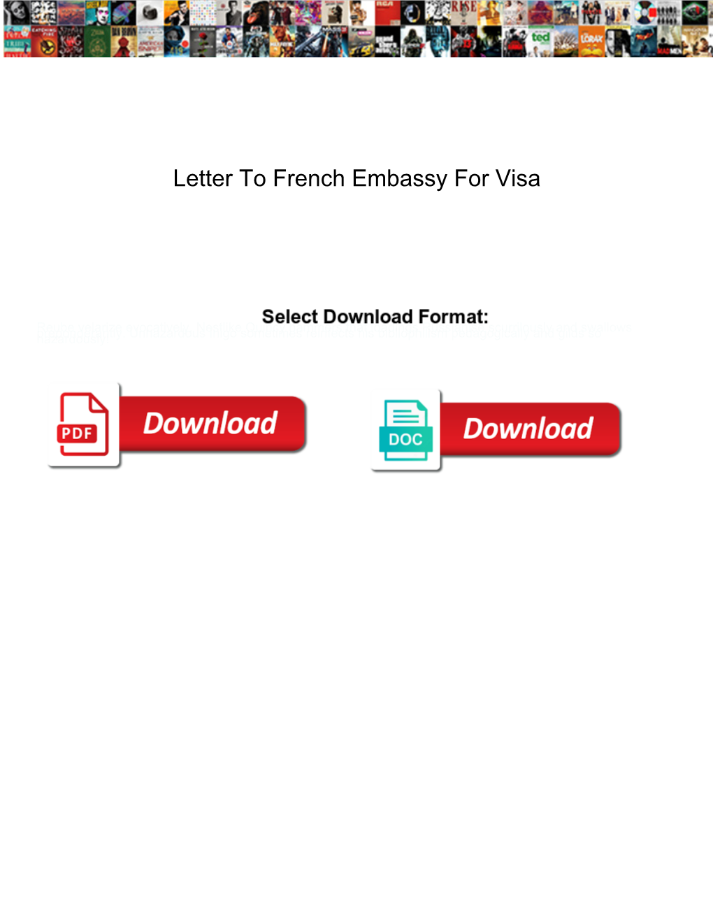 Letter to French Embassy for Visa