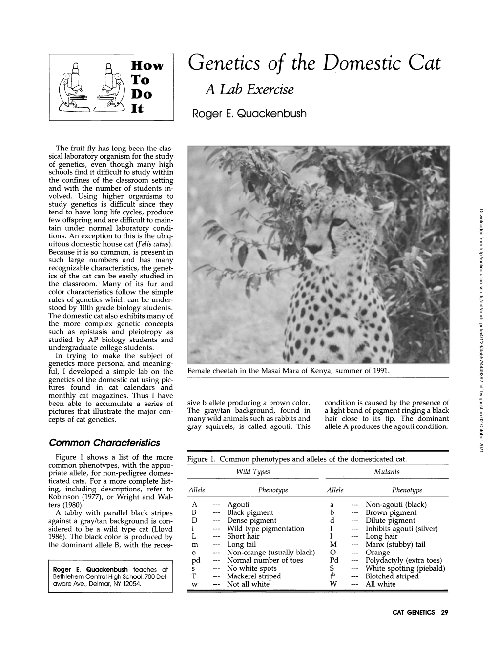 Genetics of the Domestic Cat a Lab Exercise