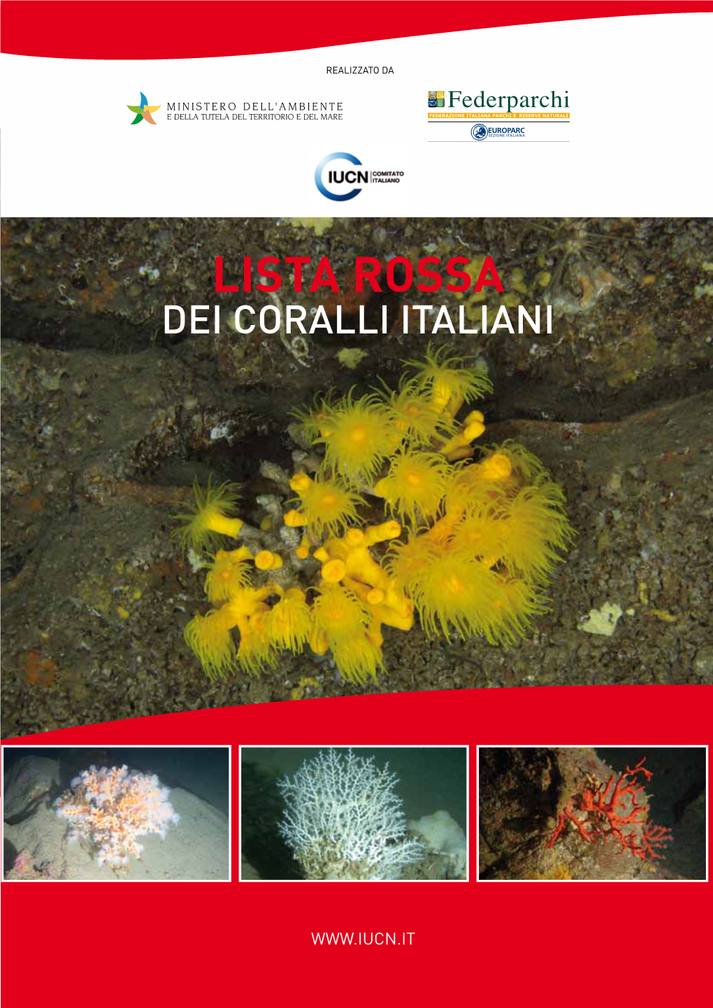 Lista Rossa Dei Coralli Italiani