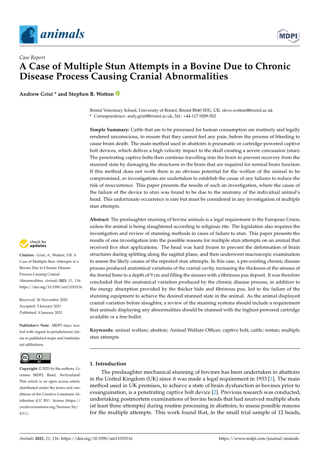 A Case of Multiple Stun Attempts in a Bovine Due to Chronic Disease Process Causing Cranial Abnormalities