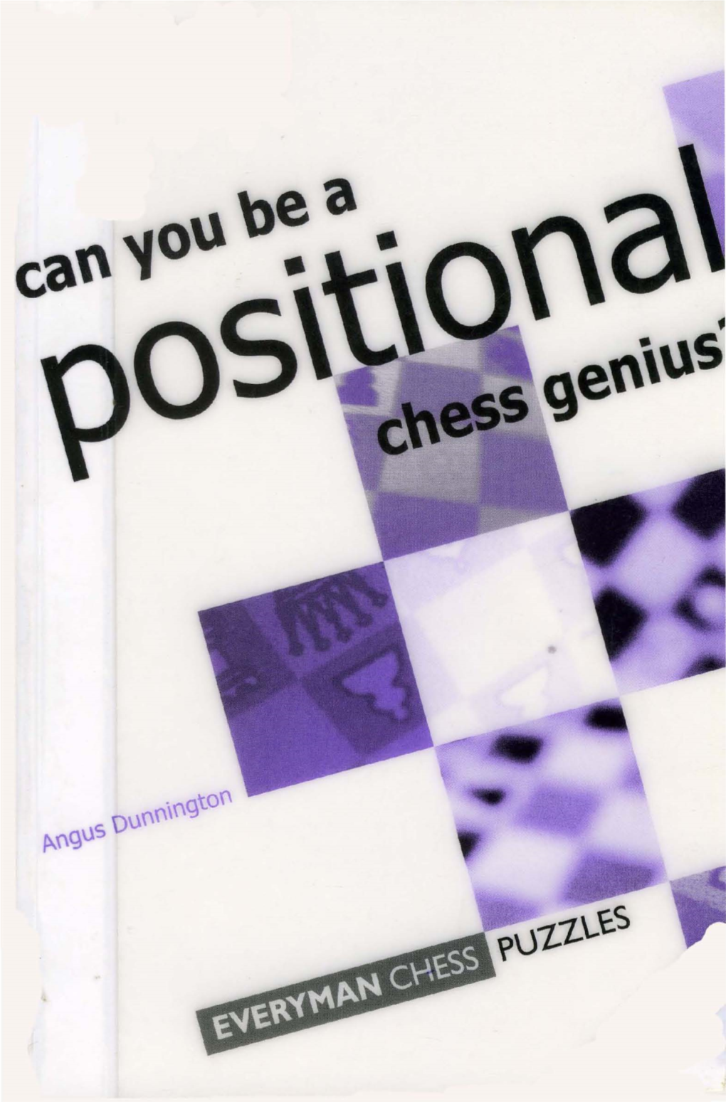 Can You Be a Positional Chess Genius?