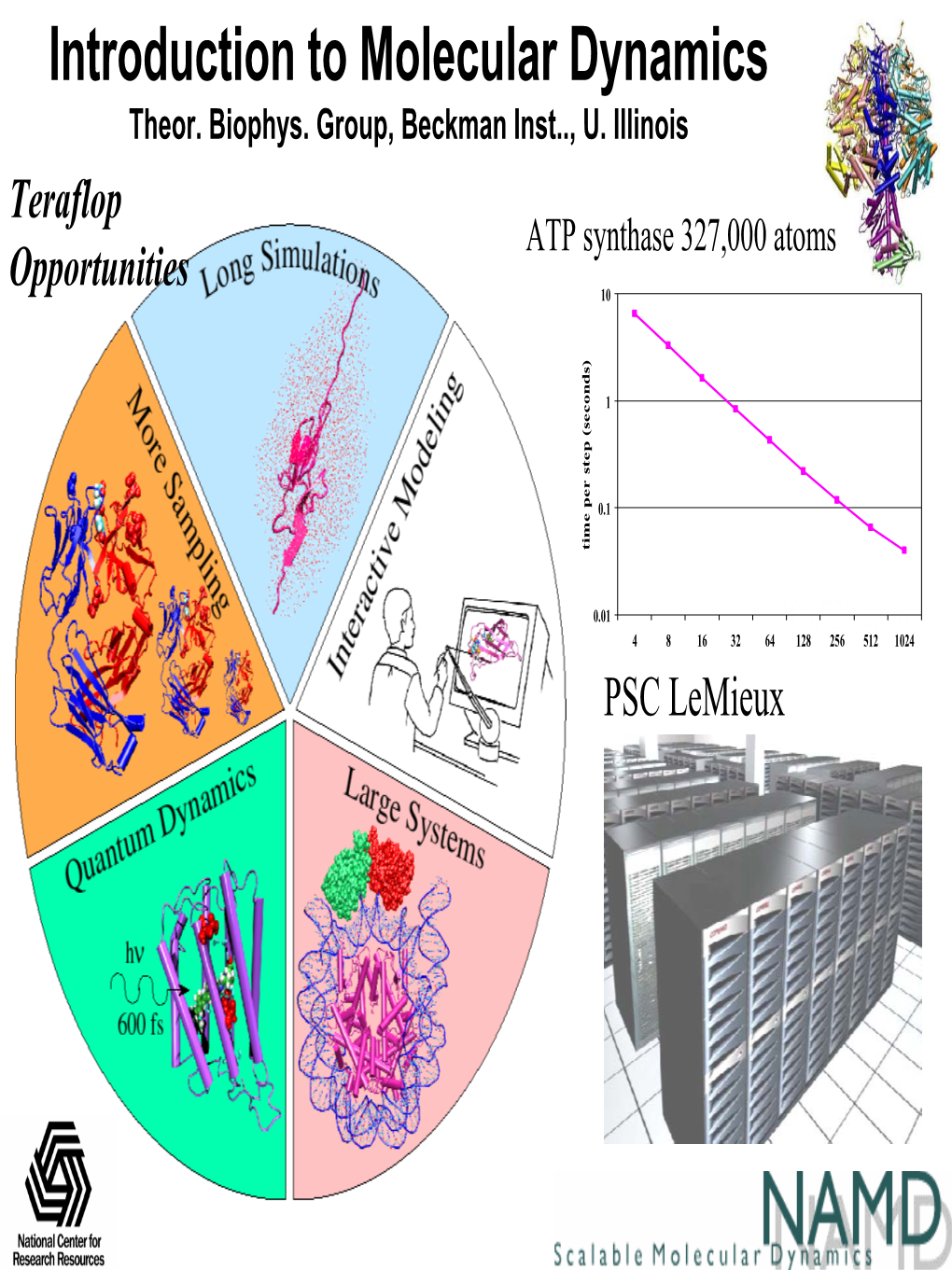 Introduction to Molecular Dynamics Simulations