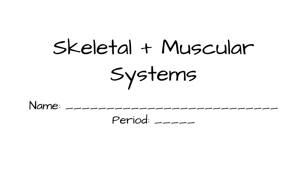 Skeletal + Muscular Systems