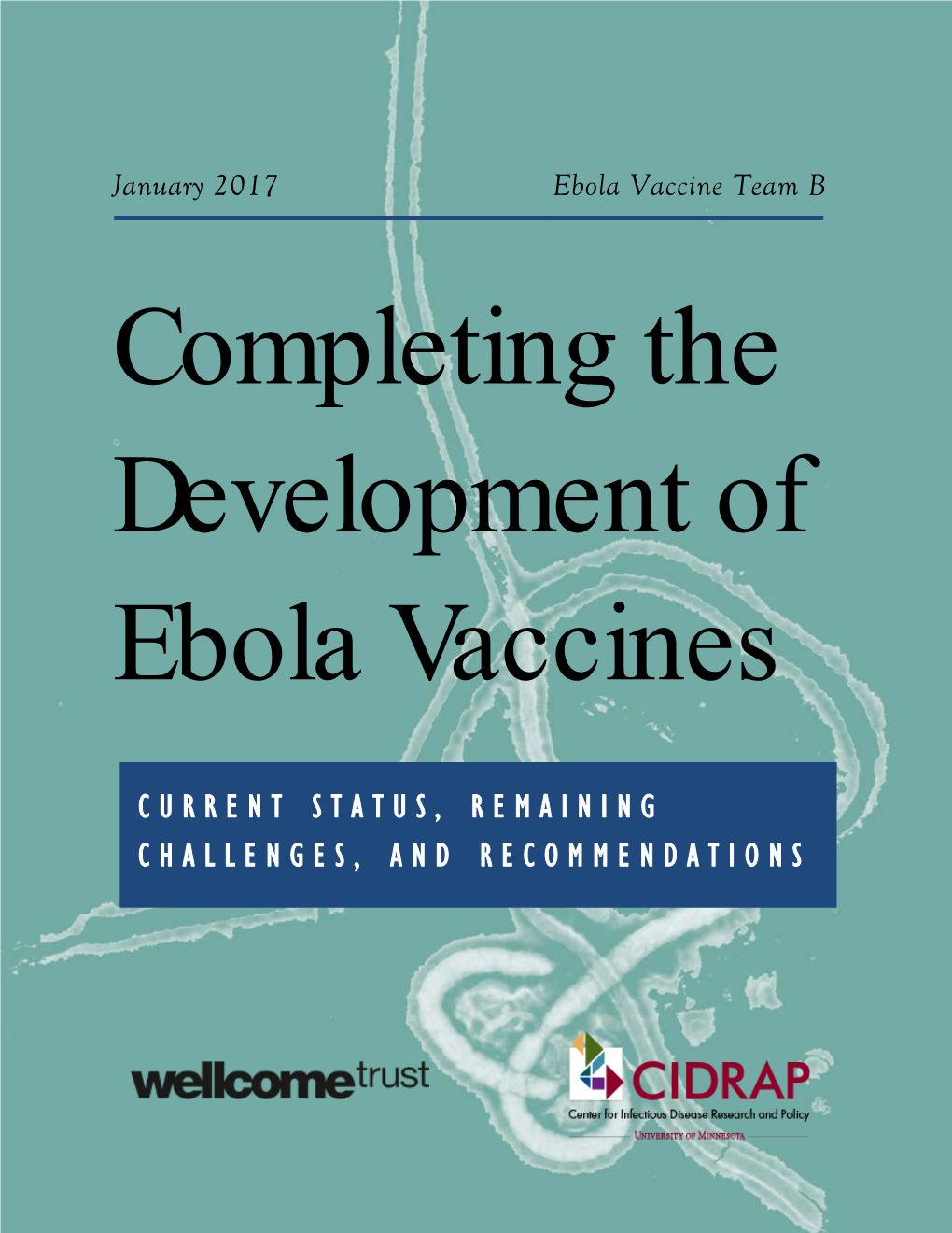 Completing the Development of Ebola Vaccines