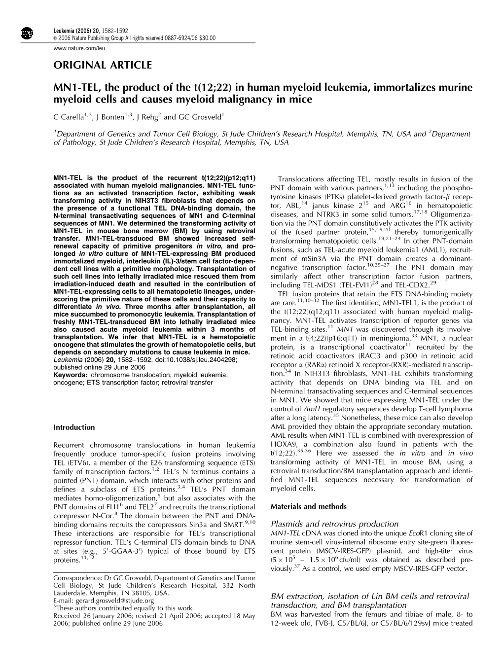 MN1-TEL, the Product of the T (12; 22) in Human Myeloid Leukemia