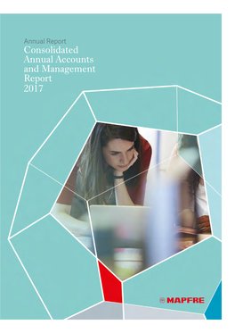 Consolidated Annual Accounts and Management Report 2017
