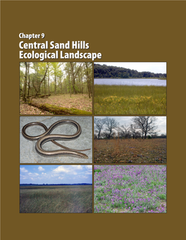 Central Sand Hills Ecological Landscape