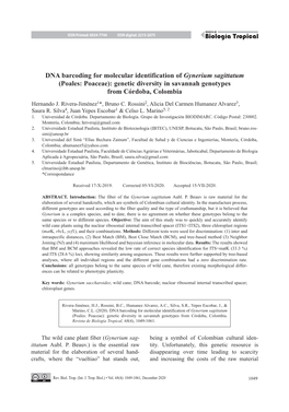 DNA Barcoding for Molecular Identification of Gynerium Sagittatum (Poales: Poaceae): Genetic Diversity in Savannah Genotypes from Córdoba, Colombia