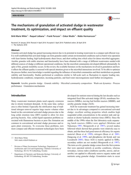 The Mechanisms of Granulation of Activated Sludge in Wastewater Treatment, Its Optimization, and Impact on Effluent Quality