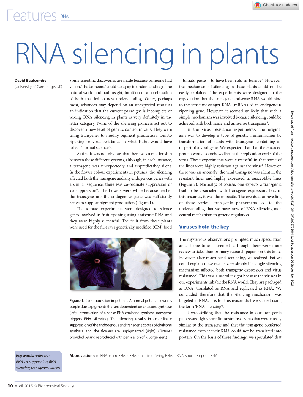 RNA Silencing in Plants