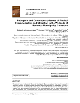 Pedogenic and Contemporary Issues of Fluvisol Characterization and Utilisation in the Wetlands of Bamenda Municipality, Cameroon