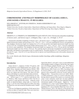 Chromosome and Pollen Morphology of Salsola Soda L