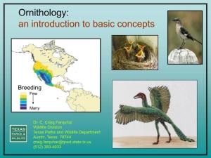 Ornithology: an Introduction to Basic Concepts