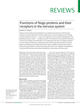 Functions of Nogo Proteins and Their Receptors in the Nervous System