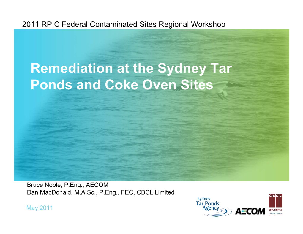 Remediation at the Sydney Tar Ponds and Coke Oven Sites
