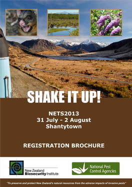 SHAKE IT UP! NETS2013 31 July - 2 August Shantytown