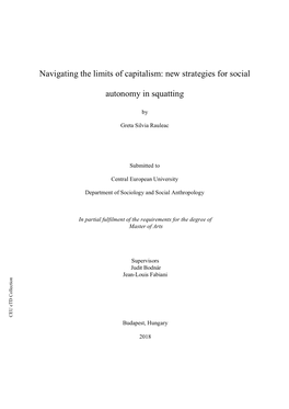 Navigating the Limits of Capitalism: New Strategies for Social