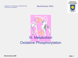 III. Metabolism Oxidative Phosphorylation