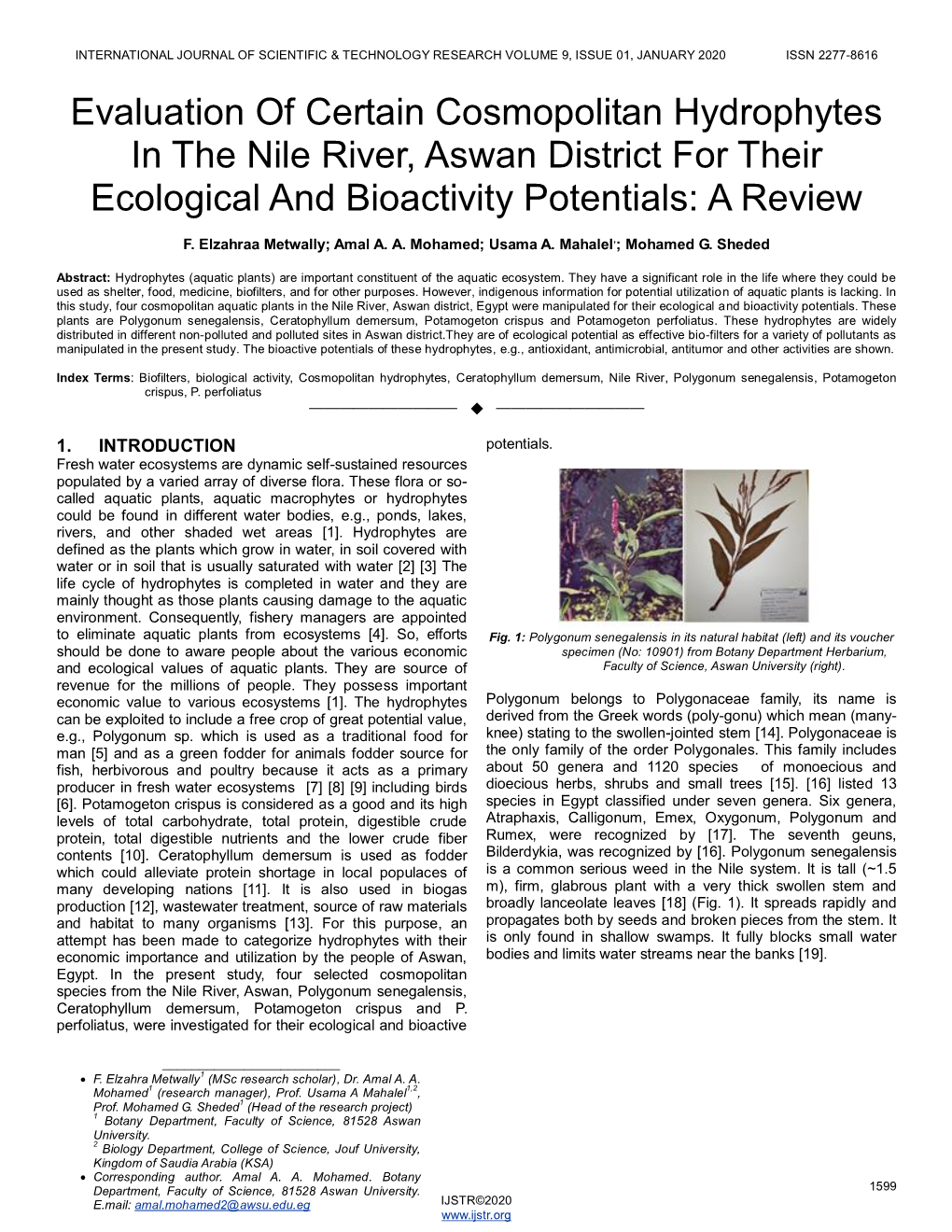 Evaluation of Certain Cosmopolitan Hydrophytes in the Nile River, Aswan District for Their Ecological and Bioactivity Potentials: a Review